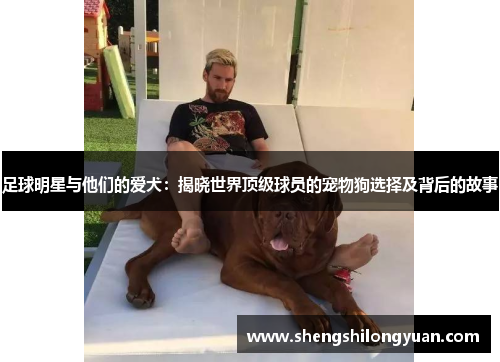 足球明星与他们的爱犬：揭晓世界顶级球员的宠物狗选择及背后的故事